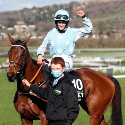 Trailblazer in Horse Racing