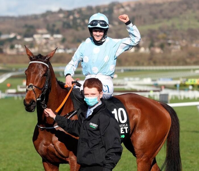 Trailblazer in Horse Racing