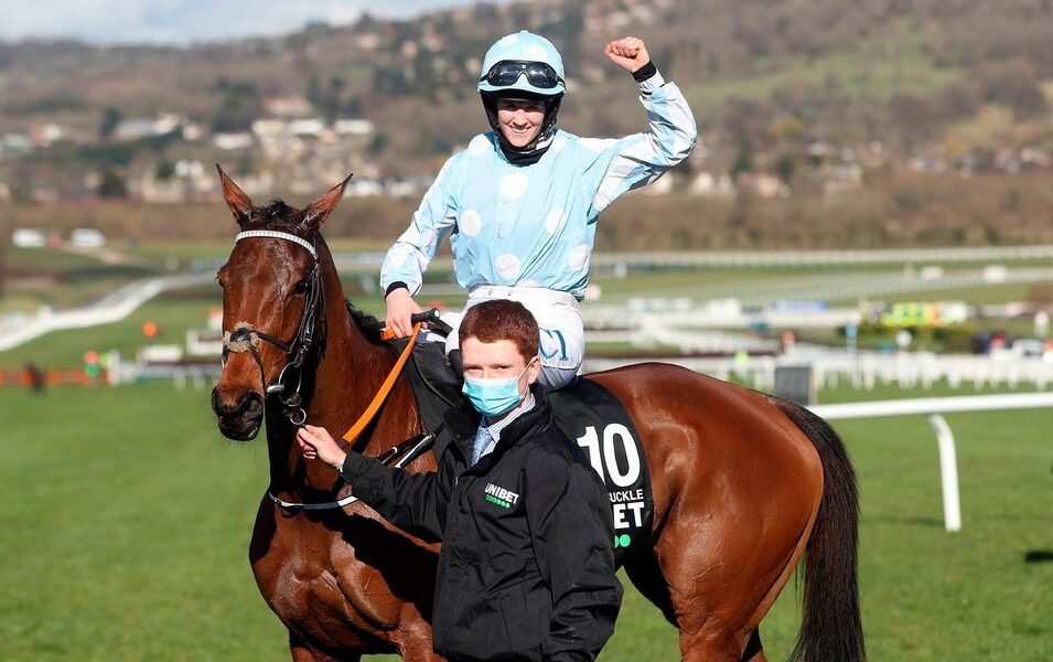 Trailblazer in Horse Racing