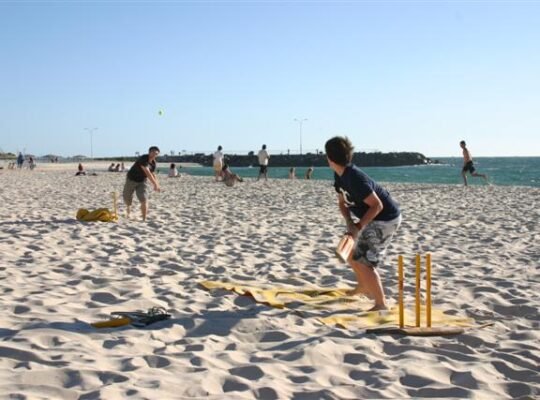 Backyard Cricket