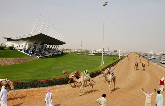 Camel Race Tracks in Dubai