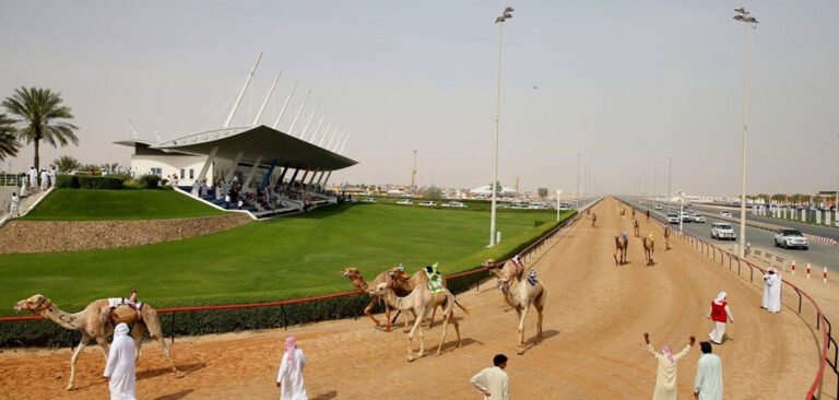 Camel Race Tracks in Dubai